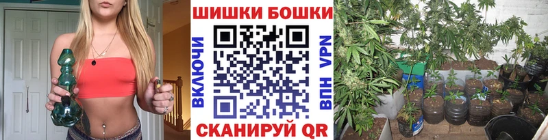 Канабис семена Ленинск-Кузнецкий